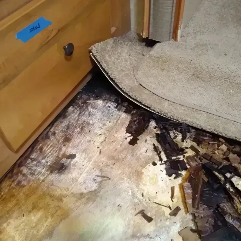 Wood Floor Water Damage in Harrison, OH